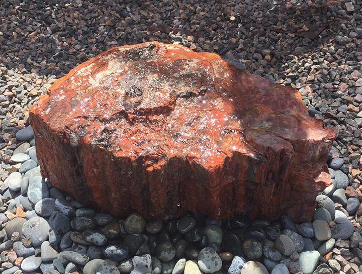 Modern Fountain - Red Petrified Wood