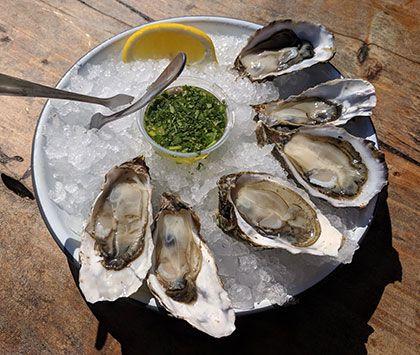 cubelet ice maker for oysters