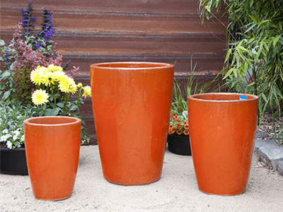 orange planter