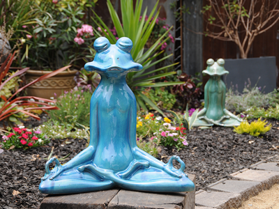 meditating frog